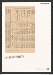Diatomeae indet. Zeichnungen Sammlung Grunow (NHMW-BOT-W0373425)